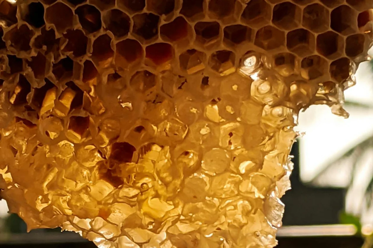 Beeswax with honey