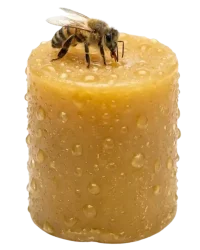 moistaurizes and protects beeswax