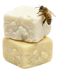 shea and cocoa butter